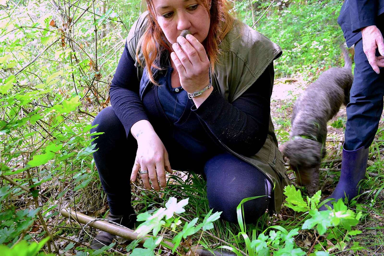 San Miniato : chasse aux truffes, repas et expérience gastronomique