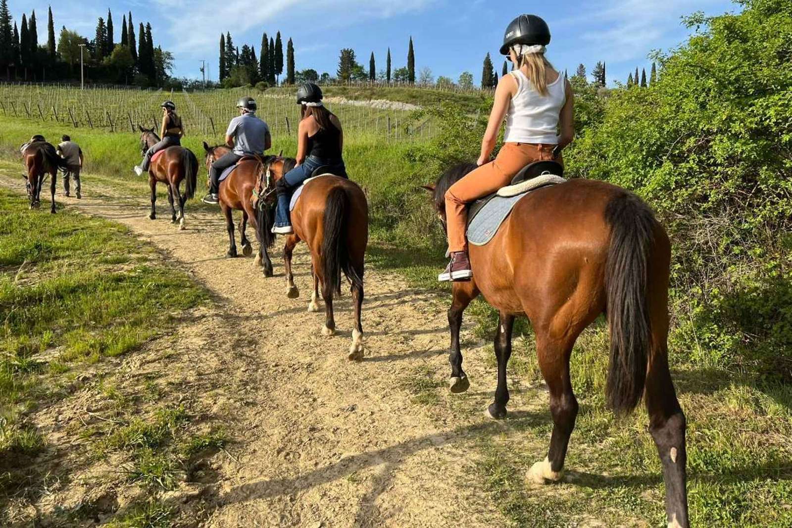 San Gimignano: Small-Group Tuscan Horse Ride & Winery Lunch