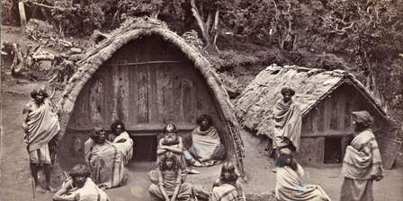 Musée d'histoire naturelle - Section d'anthropologie et d'ethnologie