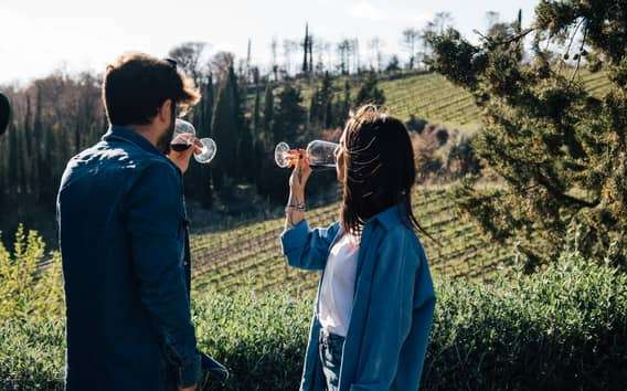 From Florence: Chianti Hills Half-Day Tour with Wine Tasting