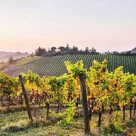 Florencia: Siena y San Gimignano Excursión de un día con comida y vino