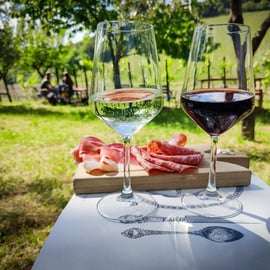 Wijnproeverij Chianti vanuit Florence: twee wijnhuizen