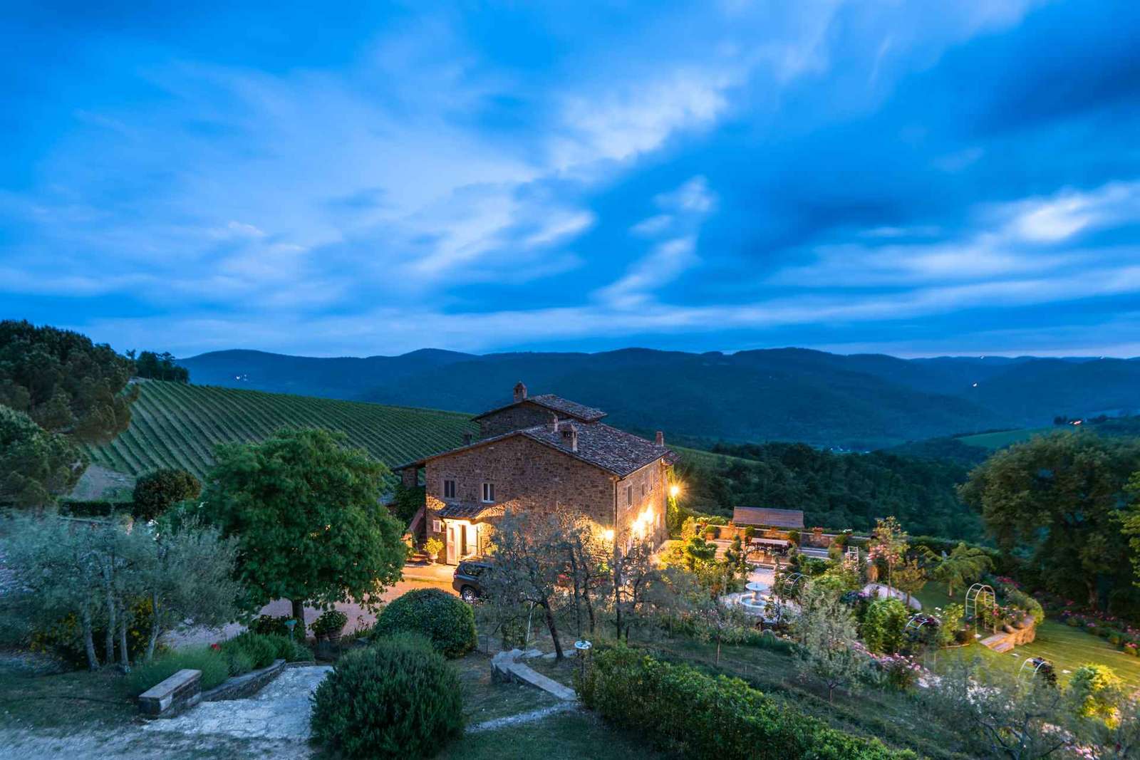 Organic Winery Tour in Chianti with Cellar Roof Views