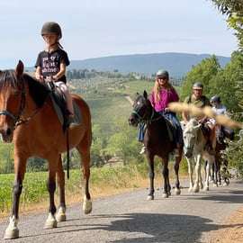 San Gimignano: Small-Group Tuscan Horse Ride & Winery Lunch