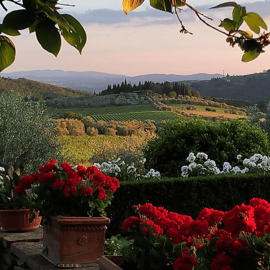 Chianti: Vineyard to Bottle Winery Visit with Tastings
