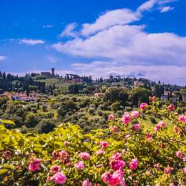 Florence: Pitti Palace and Boboli Gardens Guided Tour