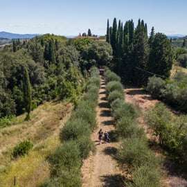 Chasse aux truffes à San Miniato avec dégustation gourmande